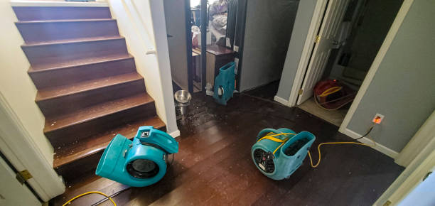 Best Water damage restoration services  in Akron, OH